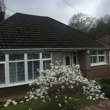 Treetops Newport (Gwent) Exterior photo